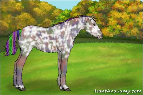 Horse Color:Painted Nacre Liver Chestnut Ice 
