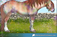 Horse Color:Nacre Red Onyx 