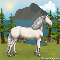 Horse Color:Cremello 