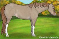 Horse Color:Liver Red Dun 