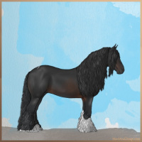 Horse Color:Brown Tobiano 