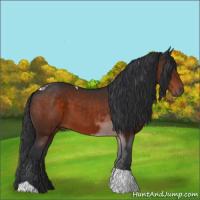 Horse Color:Brown Tobiano 