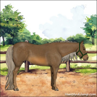 Horse Color:Chocolate Palomino 