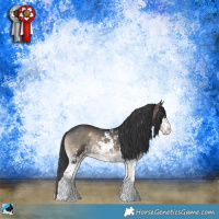 Horse Color:Blue Onyx Sabino