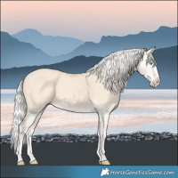 Horse Color:Cremello Splash  and Cremello Splash 