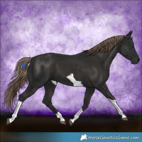 Horse Color:Liver Chestnut Tobiano 