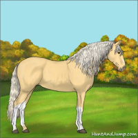 Horse Color:Palomino