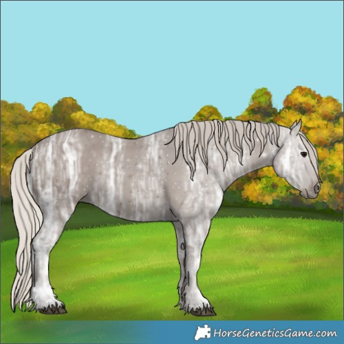 Horse Color:Silver Black Ice 