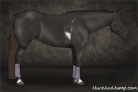 Horse Color:Liver Chestnut Tobiano 