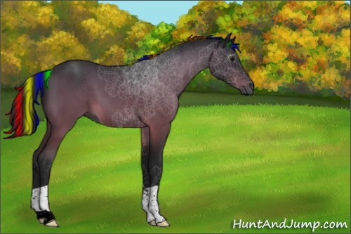 Horse Color:Gray Painted Bay 
