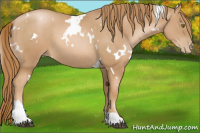 Horse Color:White Spotted Chestnut Pearl Tobiano 