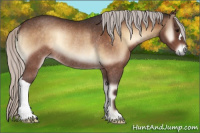 Horse Color:Silver Brown Onyx Rabicano 