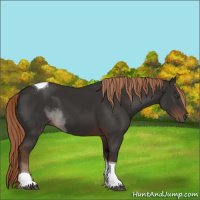 Horse Color:Liver Chestnut Tobiano 