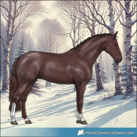 Horse Color:Chocolate Black Tobiano 