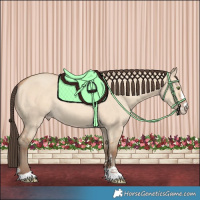 Horse Color:Amber Champagne Dun Rabicano 