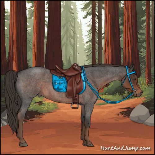Horse Color:Liver Red Roan 