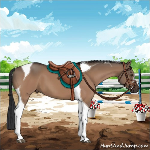 Horse Color:Brown Dun Tobiano 