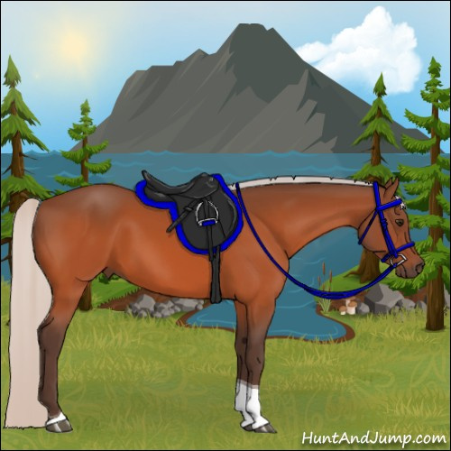 Horse Color:Silver Bay Tobiano 