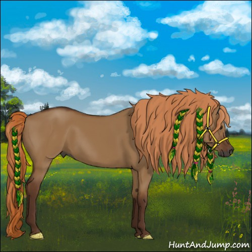 Horse Color:Gray Red Dun 