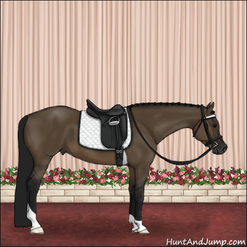Horse Color:Gray Brown Dun Tobiano 