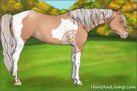 Horse Color:Silver Sable Champagne Tobiano