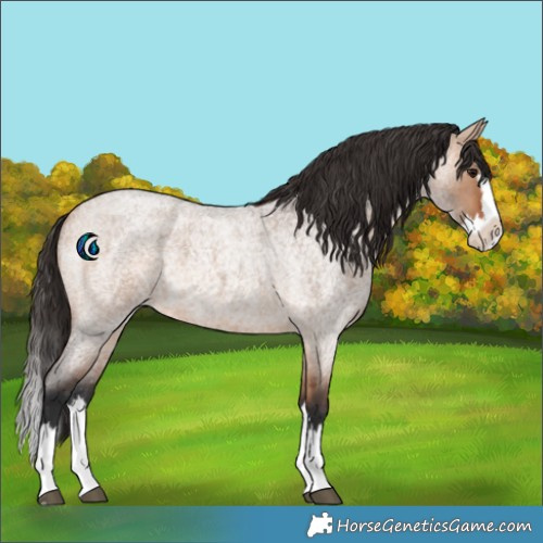 Horse Color:Bay Roan Dun Splash 