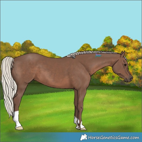 Horse Color:Silver Black 