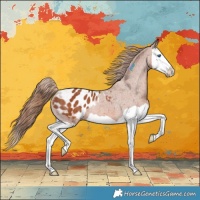 Horse Color:Chestnut Splash Blanket Rabicano 