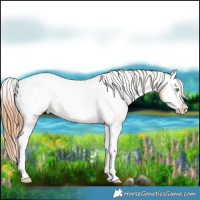 Horse Color:Chestnut Splash Snowcap 