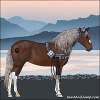 Horse Color:Silver Brown 