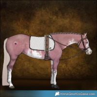 Horse Color:White Spotted Silver Buckskin Dun 