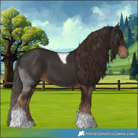 Horse Color:Liver Chestnut Tobiano 