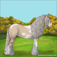 Horse Color:Silver Bay Dun Sabino Tobiano Frame Rabicano 