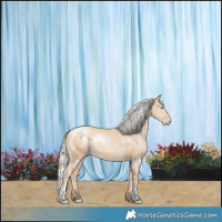 Horse Color:Silver Buckskin Pearl 