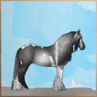 Horse Color:Gray Liver Chestnut Tobiano