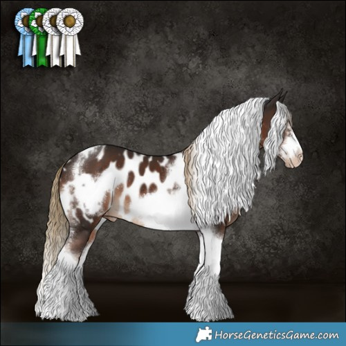 Horse Color:Liver Chestnut Tobiano Frame Appaloosa 