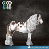 Horse Color:Liver Chestnut Tobiano Frame Appaloosa 