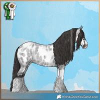 Horse Color:Smoky Blue Roan Tobiano Frame Appaloosa