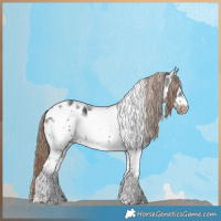 Horse Color:Liver Chestnut Sabino Tobiano Frame Appaloosa 