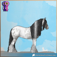Horse Color:Grullo Roan Tobiano Frame Near Leopard Brindle 