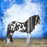 Horse Color:Liver Chestnut Tobiano Frame Appaloosa 