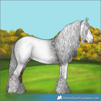 Horse Color:Gray Liver Chestnut Tobiano 
