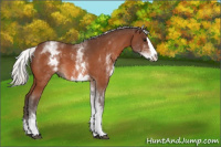 Horse Color:White Spotted Silver Bay Splash 