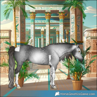 Horse Color:Gray Liver Chestnut Tobiano