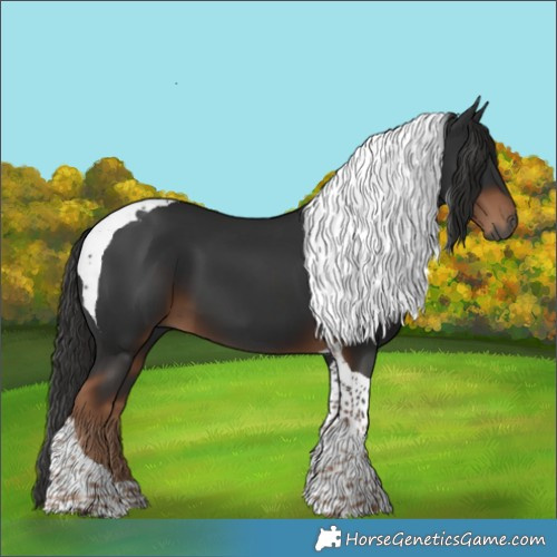 Horse Color:Gray Liver Chestnut Tobiano 