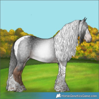 Horse Color:Gray Liver Chestnut Tobiano 