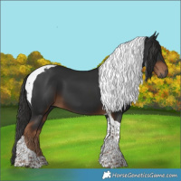 Horse Color:Gray Liver Chestnut Tobiano 