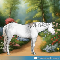 Horse Color:Gray Liver Chestnut Tobiano