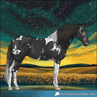 Horse Color:Gray White Spotted Liver Chestnut Tobiano 