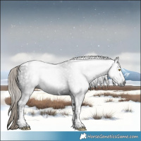 Horse Color:Gray Liver Chestnut Tobiano